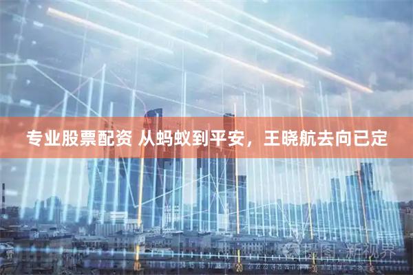 专业股票配资 从蚂蚁到平安，王晓航去向已定